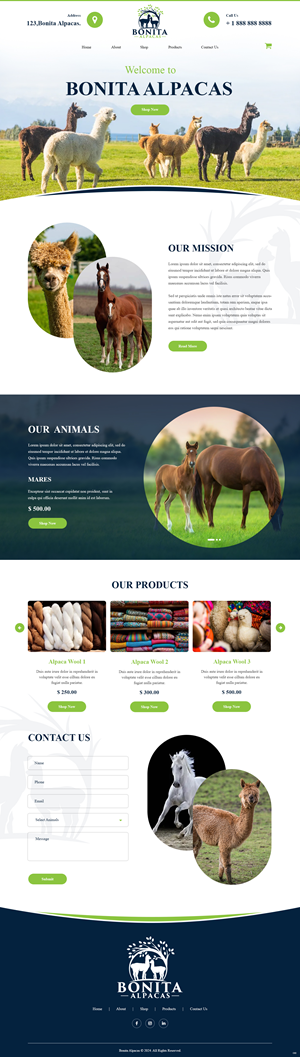 Web Design by pb for this project | Design: #32972520