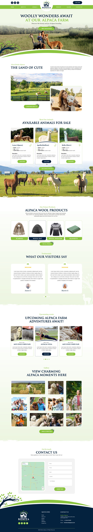 Web-Design von Reimagine