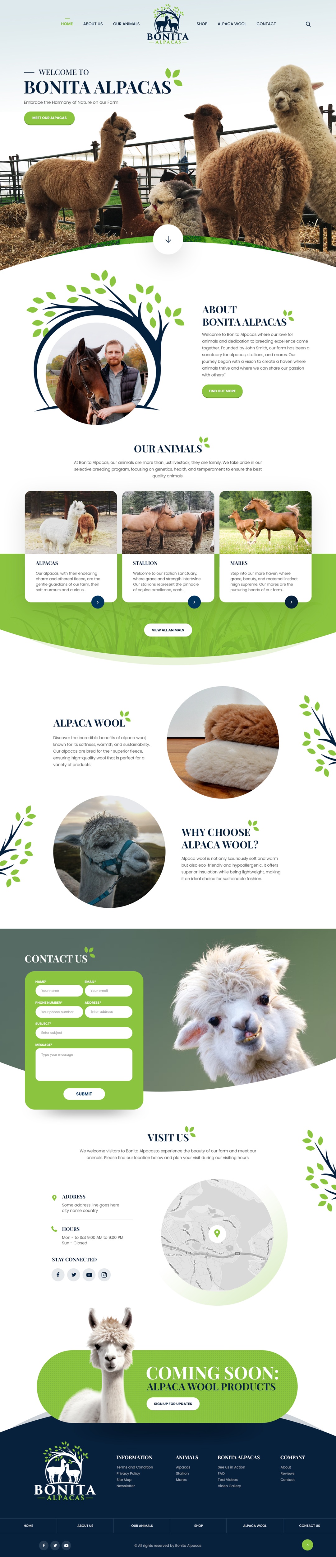 Web Design by nzdesigners for this project | Design #32982917