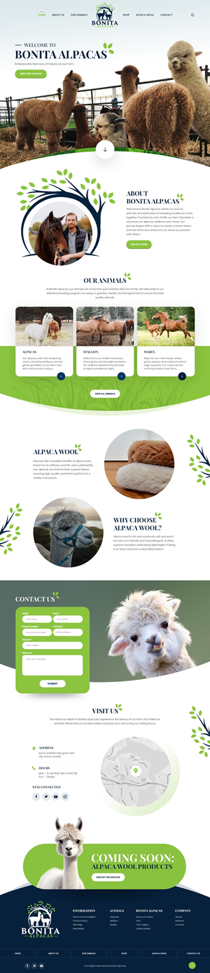 Web Design by nzdesigners for this project | Design: #32982917