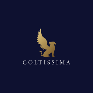 Logo Design by Designs_by_Aier