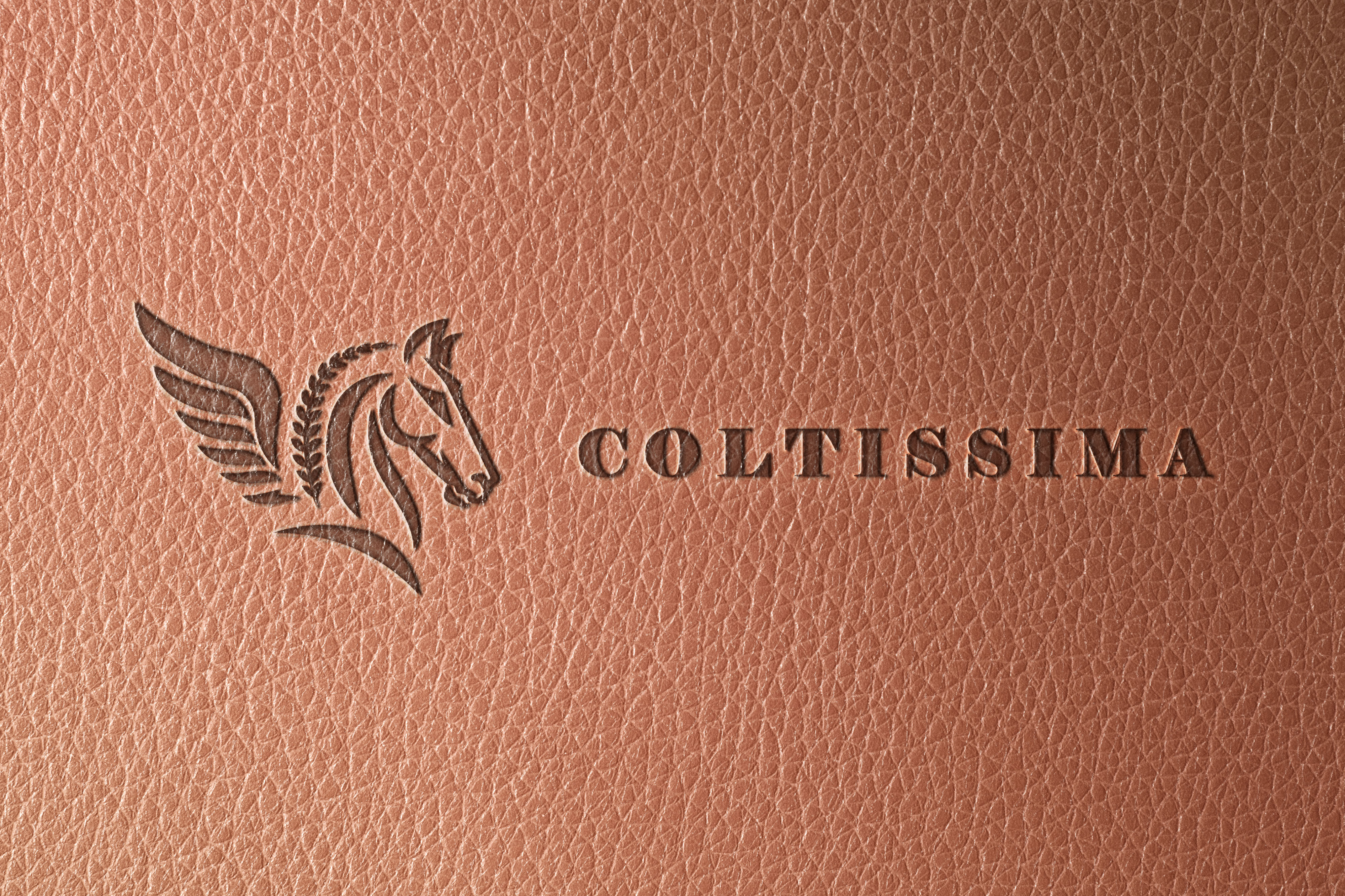 Logo-Design von DesignPack für dieses Projekt | Design #32979018