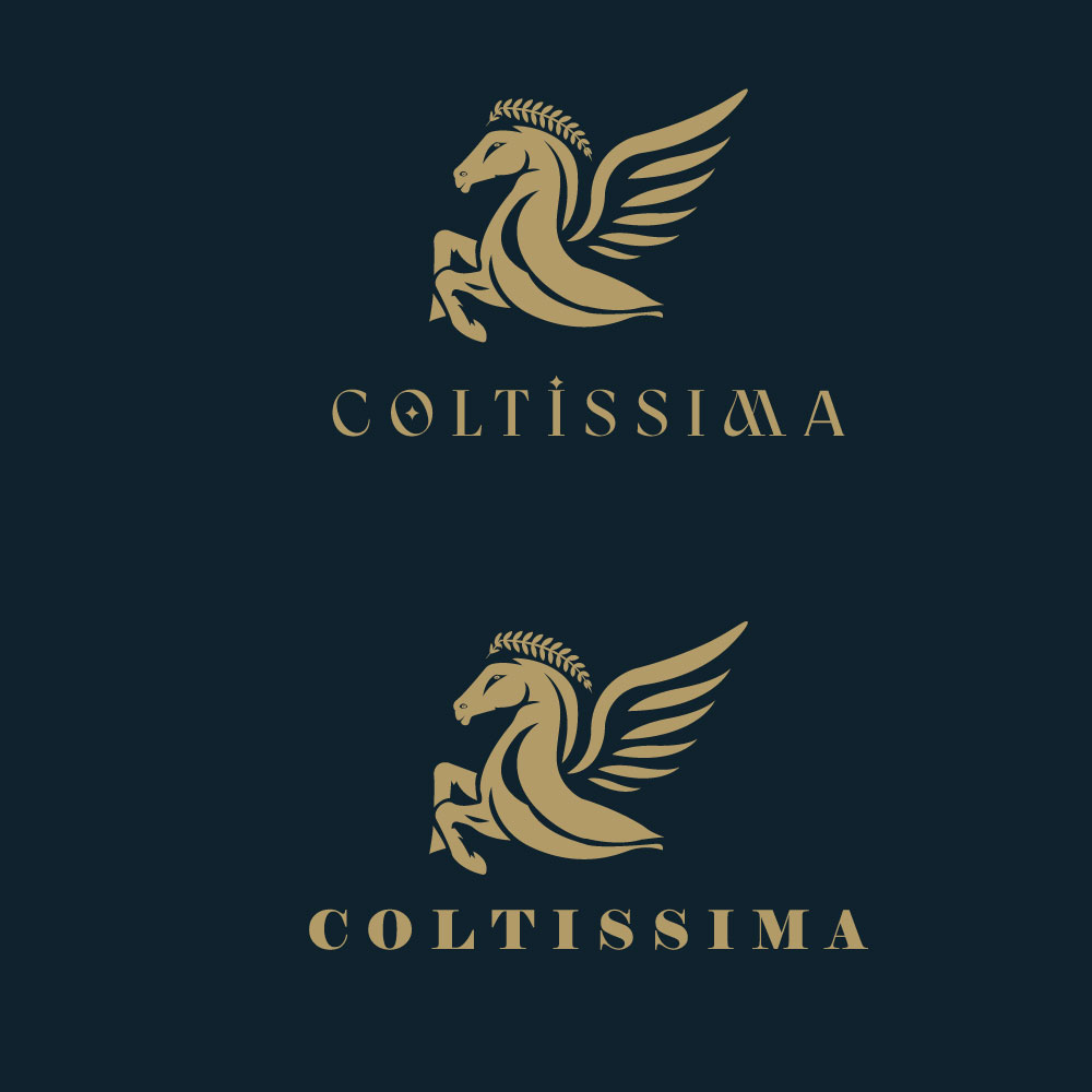 Logo Design by DesignPack for this project | Design #32983608