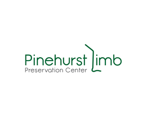 Logo Design by Ansh Design for this project | Design: #32979775