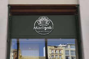 Logo Design by ALI ISLAM for this project | Design: #33093934