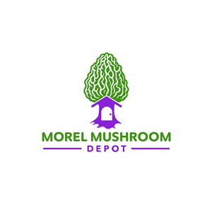 Logo-Design von Elrich für dieses Projekt | Design: #32974275