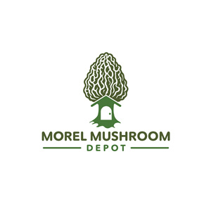 Logo Design by Elrich for this project | Design: #33016846
