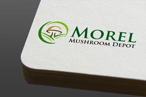 Design de Logo par ToatPribadi pour ce projet | Design #33016227