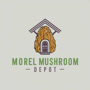 Logo Design by Mir Graphics for this project | Design: #32988443