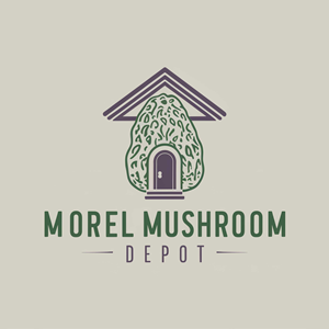 Logo Design by Mir Graphics for this project | Design: #32988491