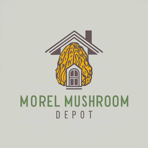 Logo Design by Mir Graphics for this project | Design: #32988493