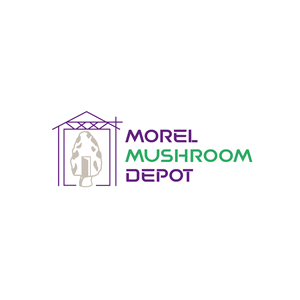 Logo Design by AbhishekkM'24 for this project | Design: #32973934