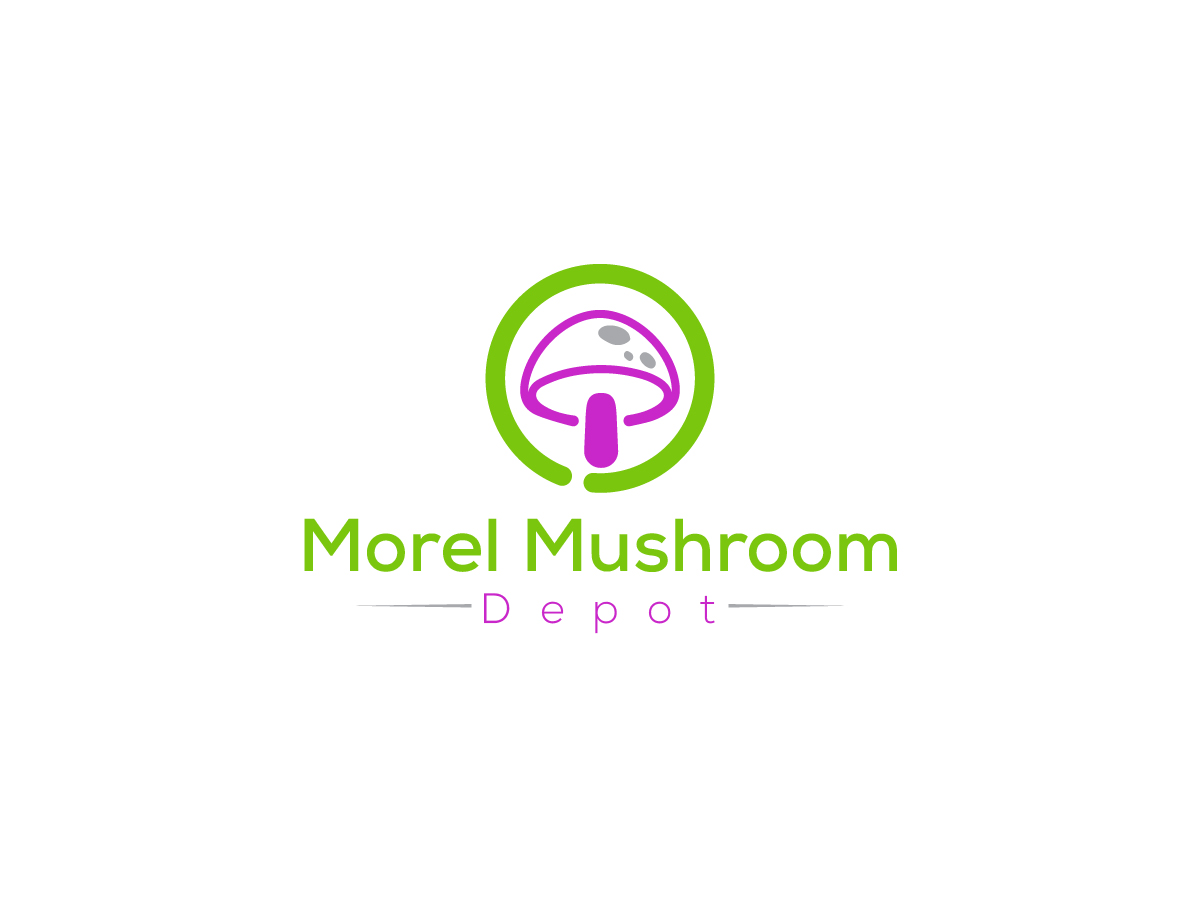 Logo Design by Owltive for this project | Design #32974018