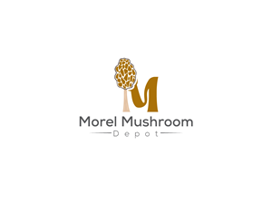 Logo Design by Owltive for this project | Design: #32980871