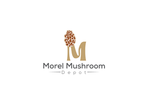 Logo Design by Owltive for this project | Design: #32980872