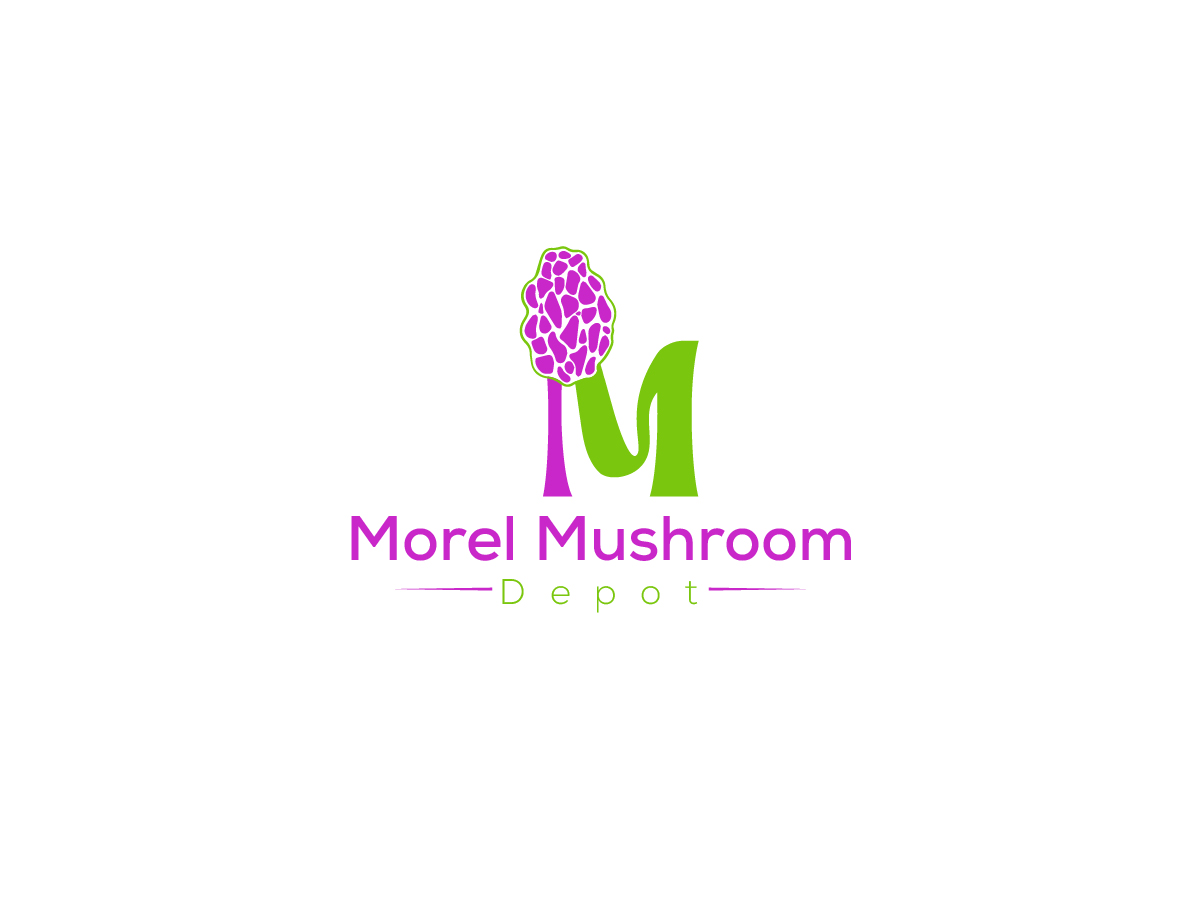 Diseño de Logo por Owltive para este proyecto | Diseño #32986974
