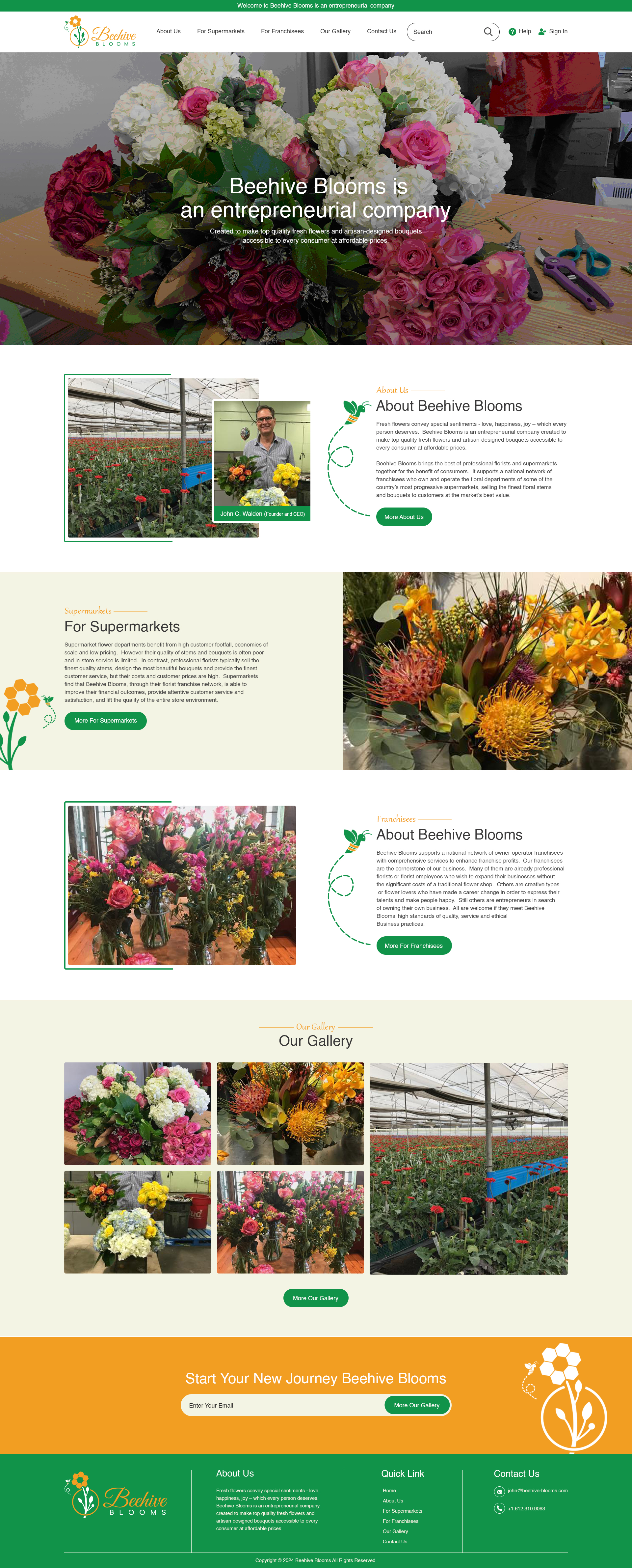 Web Design by creative.bugs for this project | Design #33060821