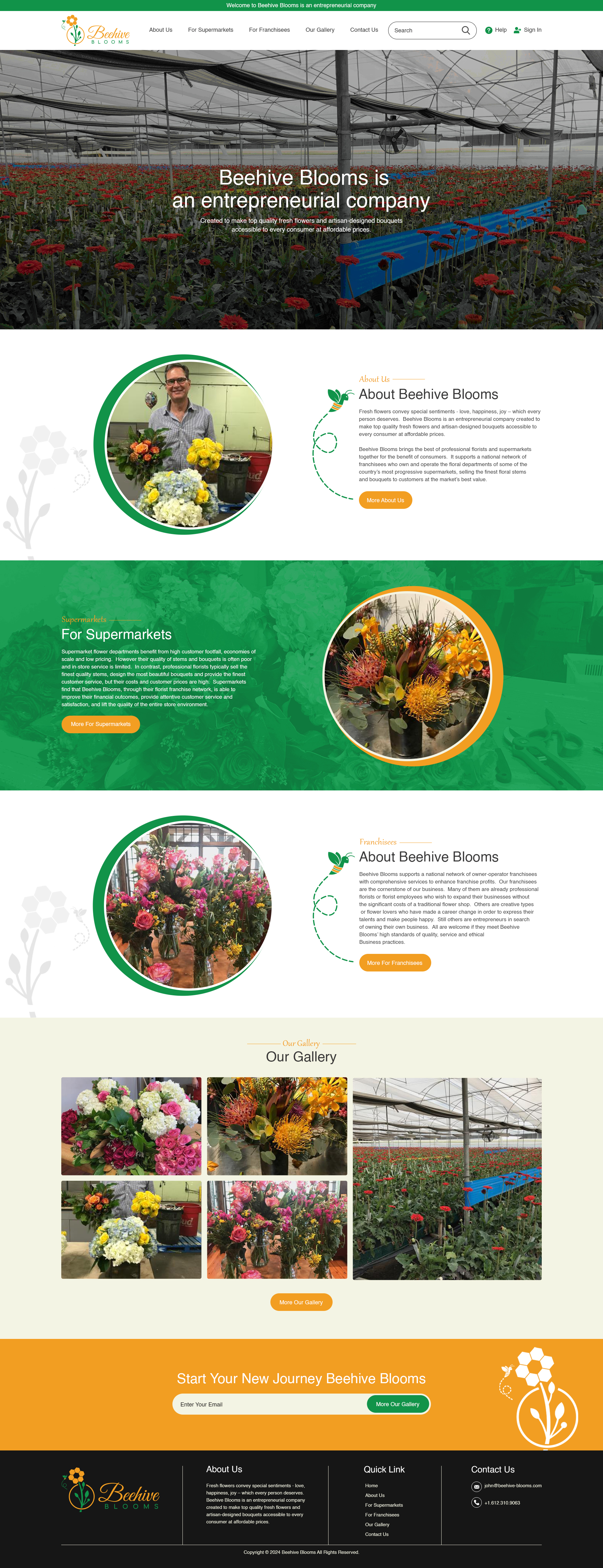 Web Design by creative.bugs for this project | Design #33060822
