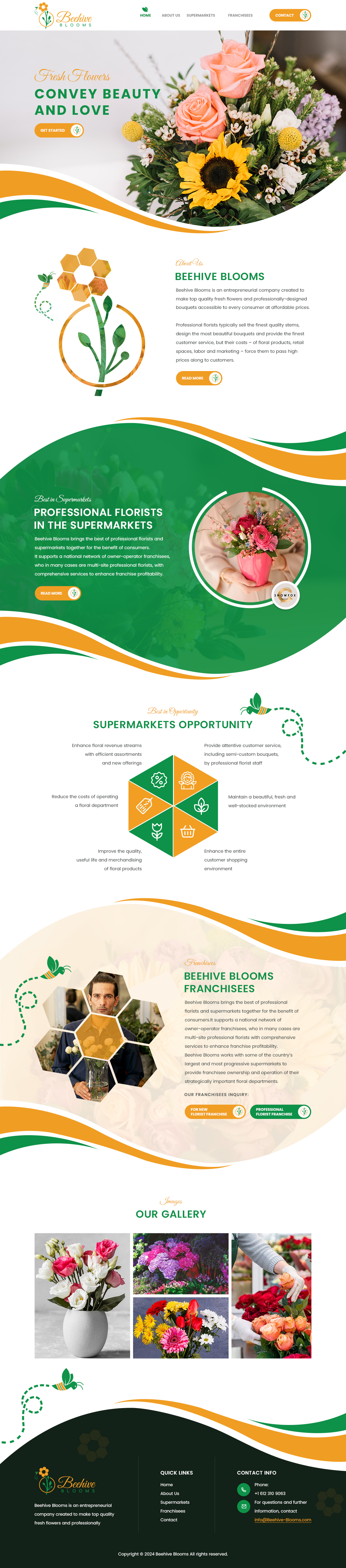 Web Design by sai.designer87 for this project | Design #33027196