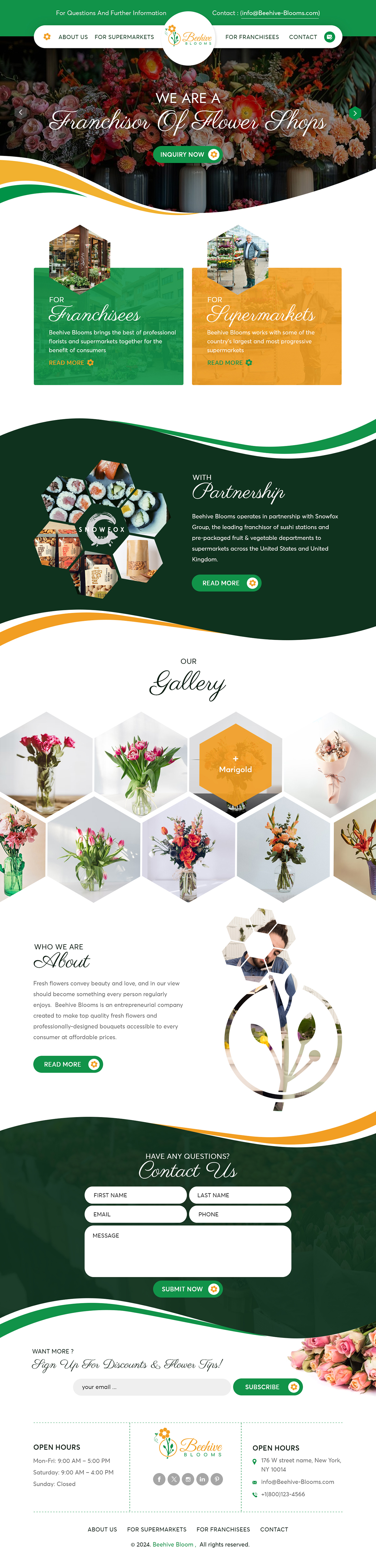 Web Design by sai.designer87 for this project | Design #33049381