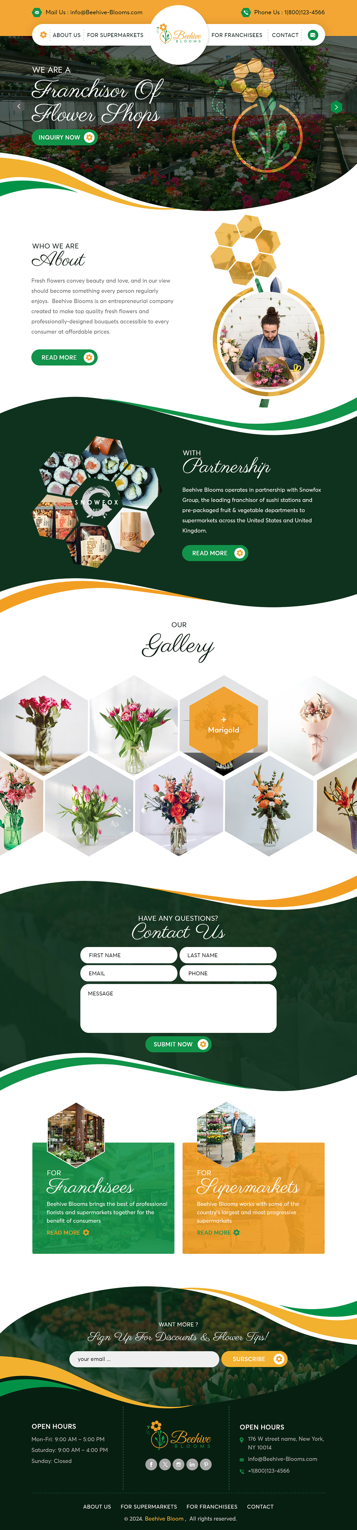 Web Design by sai.designer87 for this project | Design #33049382
