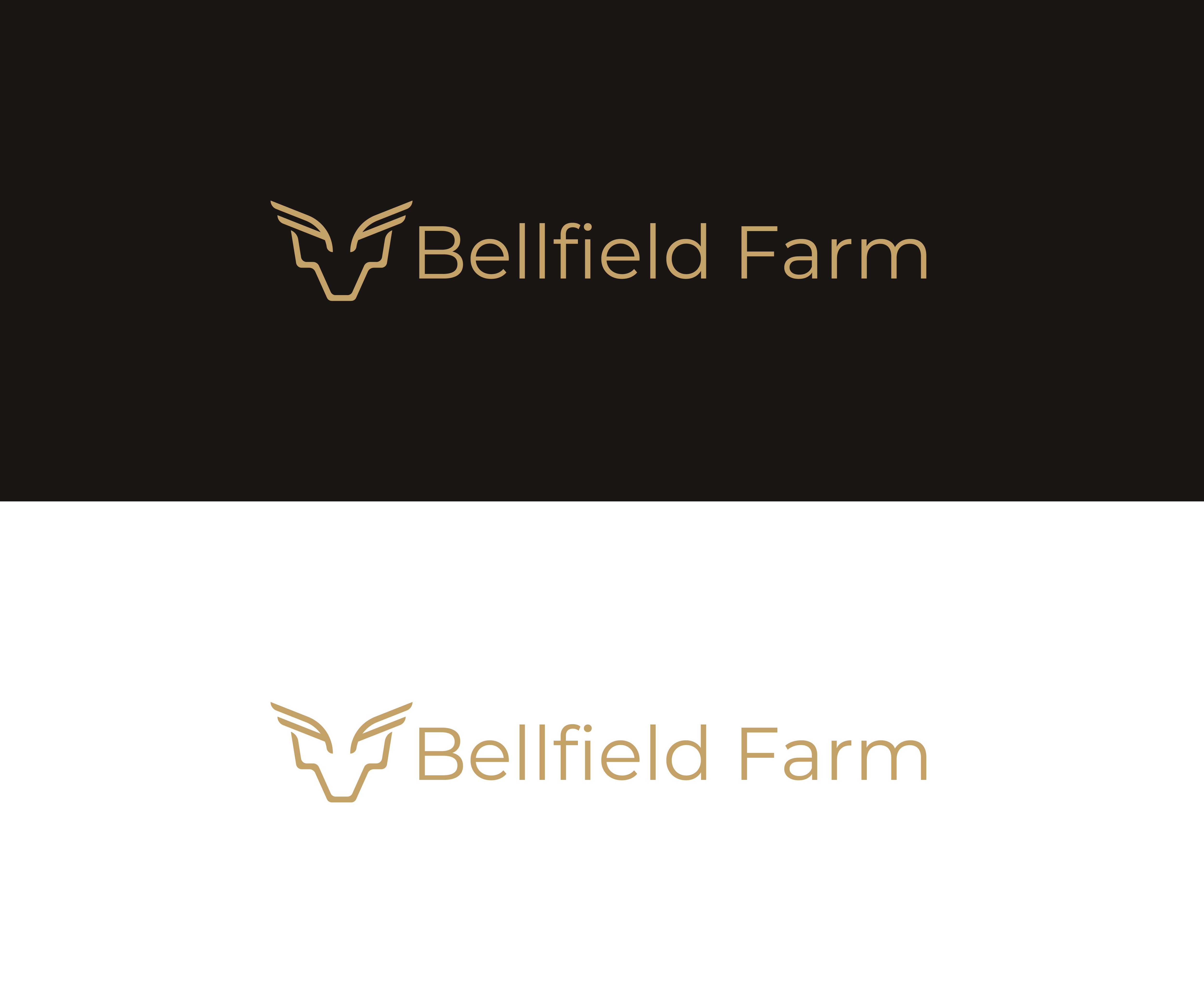 Logo Design by Boril Std for this project | Design #32991256
