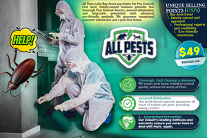 Poster Design by Likhang Mawieshams for Alley Cat Creations | Design: #33034884