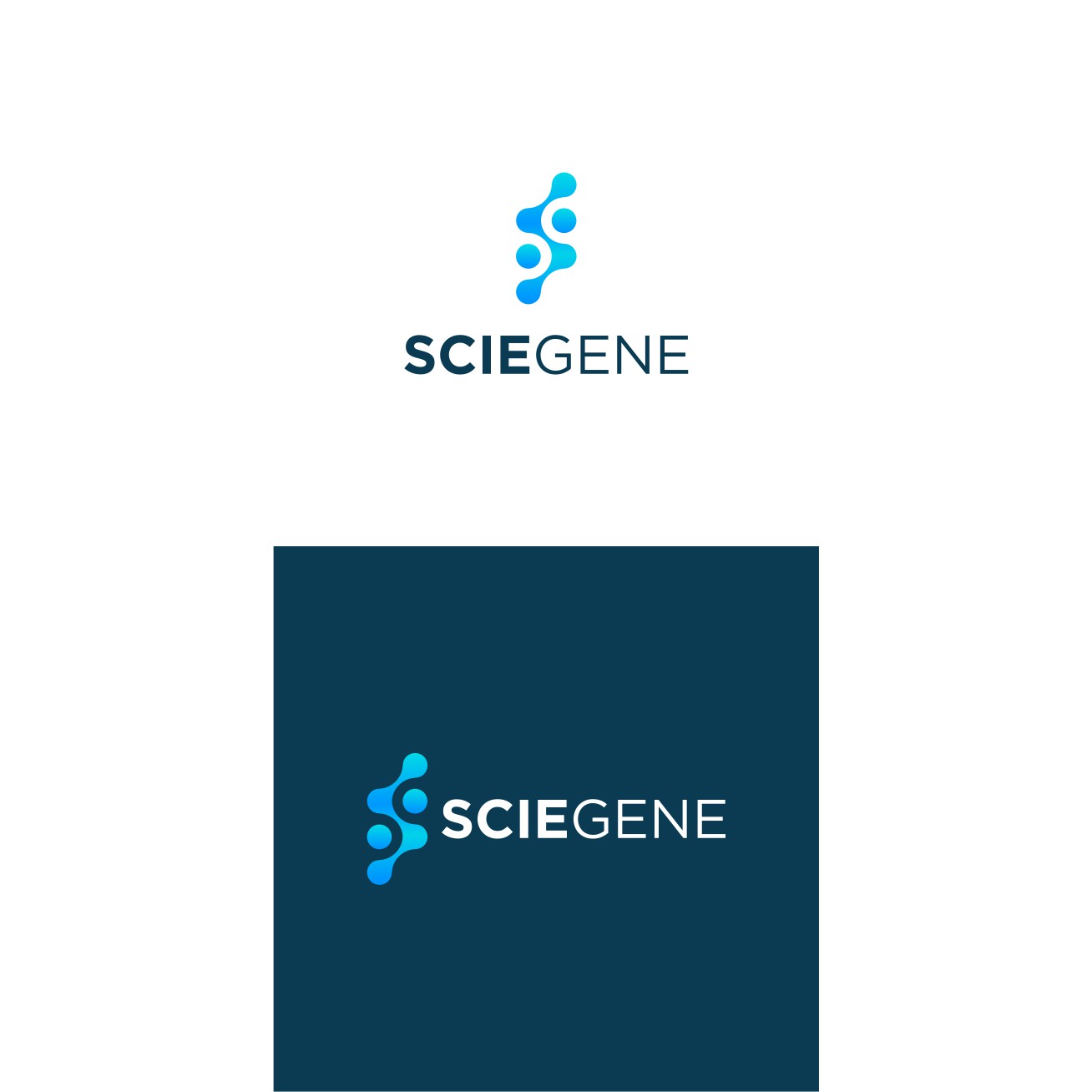 Logo-Design von Bingah für dieses Projekt | Design #33008576