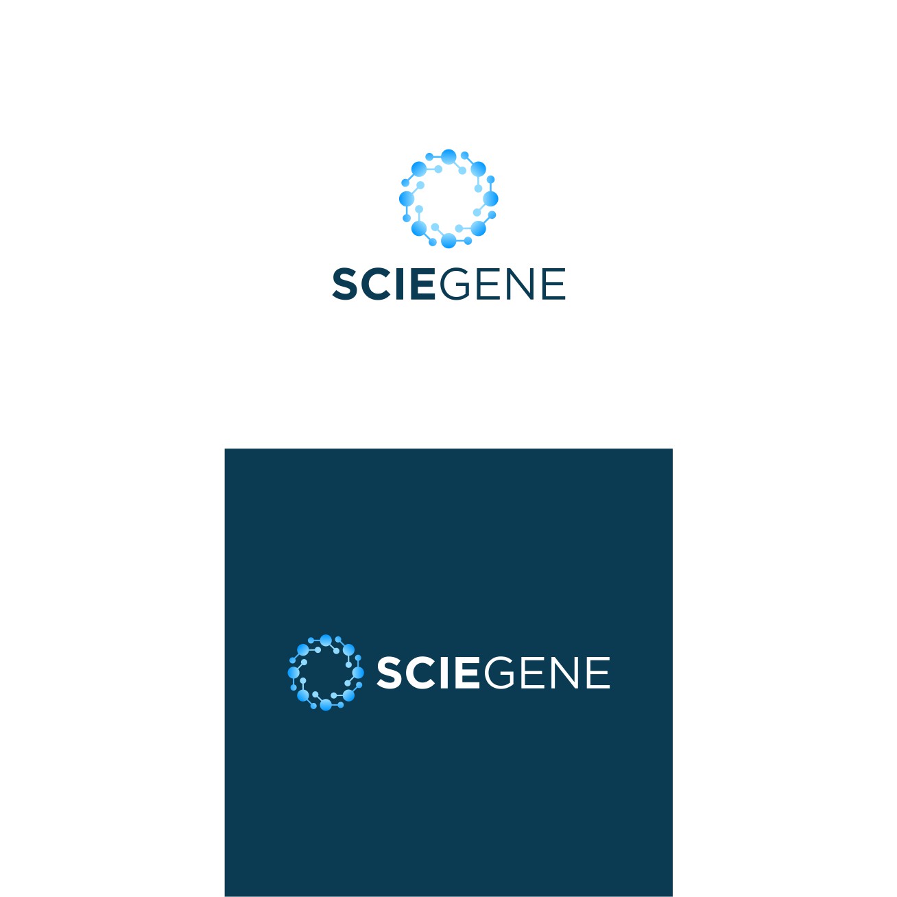 Logo Design by Bingah for this project | Design #33010640