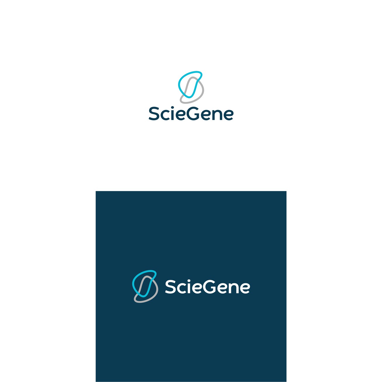 Logo Design by Bingah for this project | Design #33010641