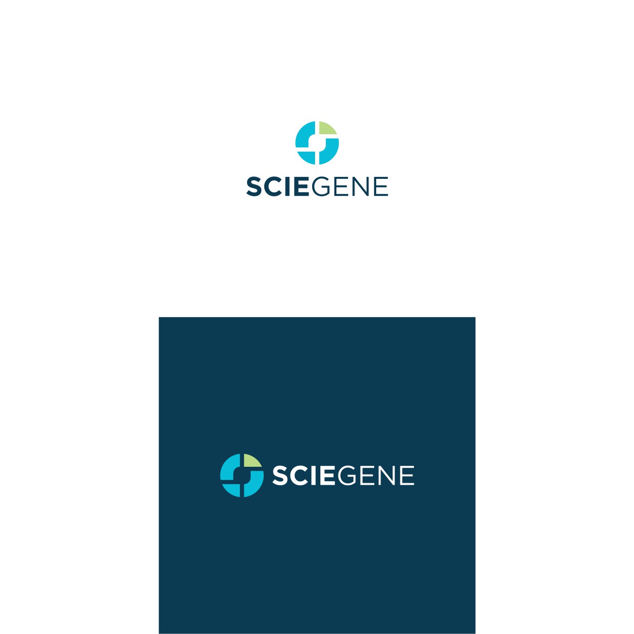 Logo Design by Bingah for this project | Design #33010644
