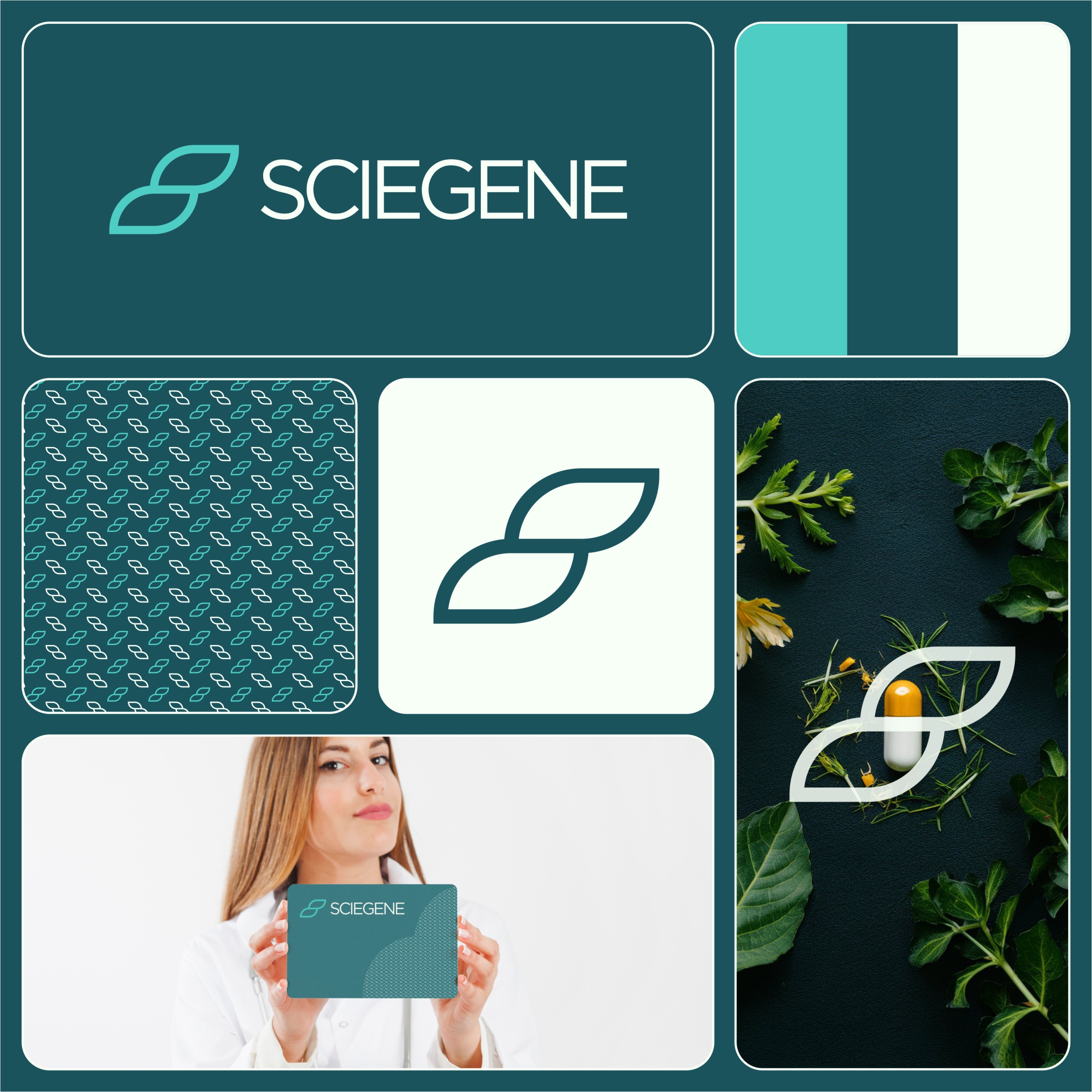 Logo Design by Bayu sugara for this project | Design #32995904