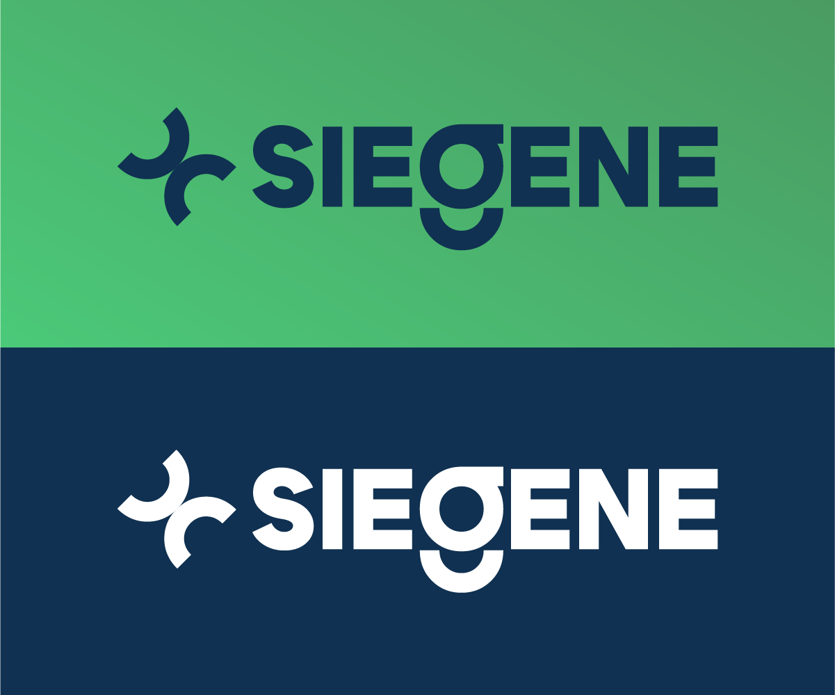 Logo Design by Killian Des. for this project | Design #33005640