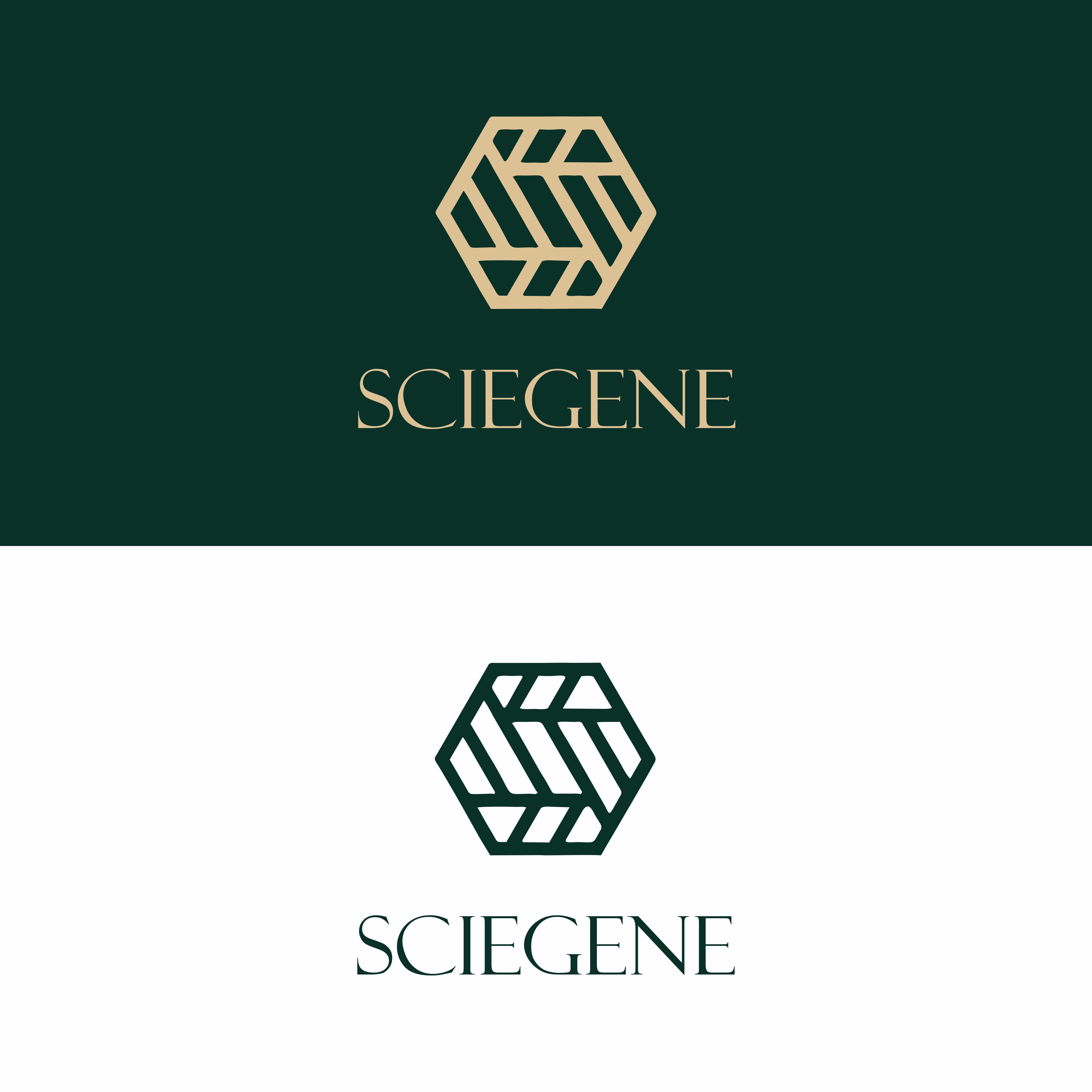 Logo Design by Owl Design for this project | Design #33005279