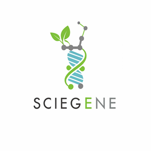 Diseño de Logo por Mir Graphics para este proyecto | Diseño: #32997938