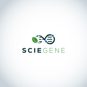 Logo Design by logosito