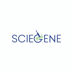 Logo Design by Ashani Bhattacharya for this project | Design #32998841