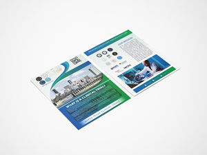 Design de Flyer par nirmla450 pour ce projet | Design : #32998771