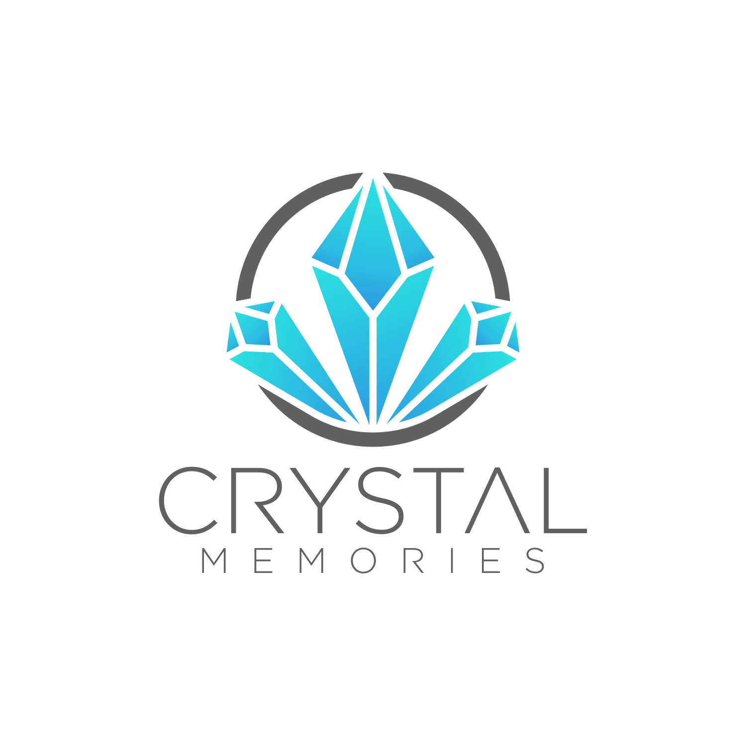 Logo Design by LogoSpace Studio for this project | Design #33009935