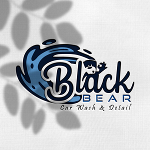 Diseño de Logo por Design_Duo para este proyecto | Diseño: #33043349