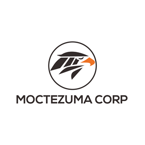 Logo-Design von TammZzzz für dieses Projekt | Design: #33044629