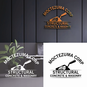 Logo Design by Aadriti for this project | Design: #33026945