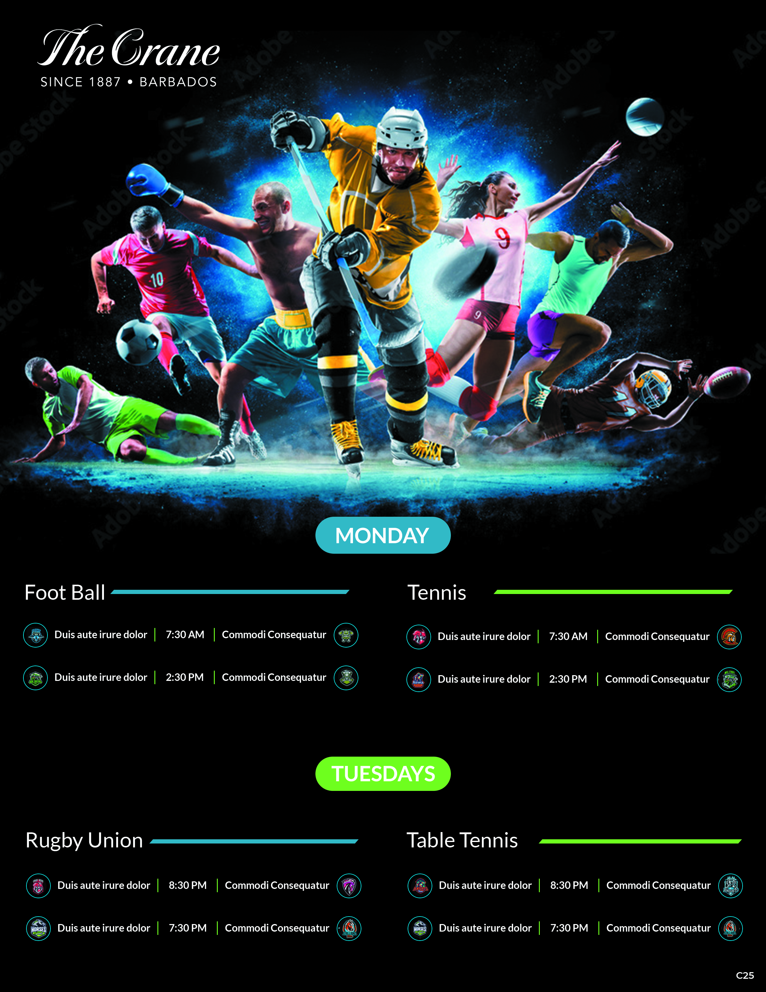 Diseño de Flyer por pb para este proyecto | Diseño #33053465
