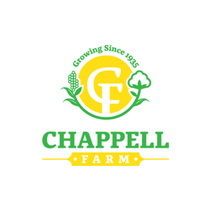 Logo Design by Vectorism