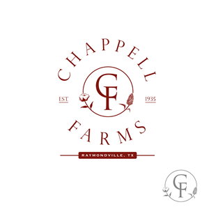 Logo Design by AbhishekkM'24