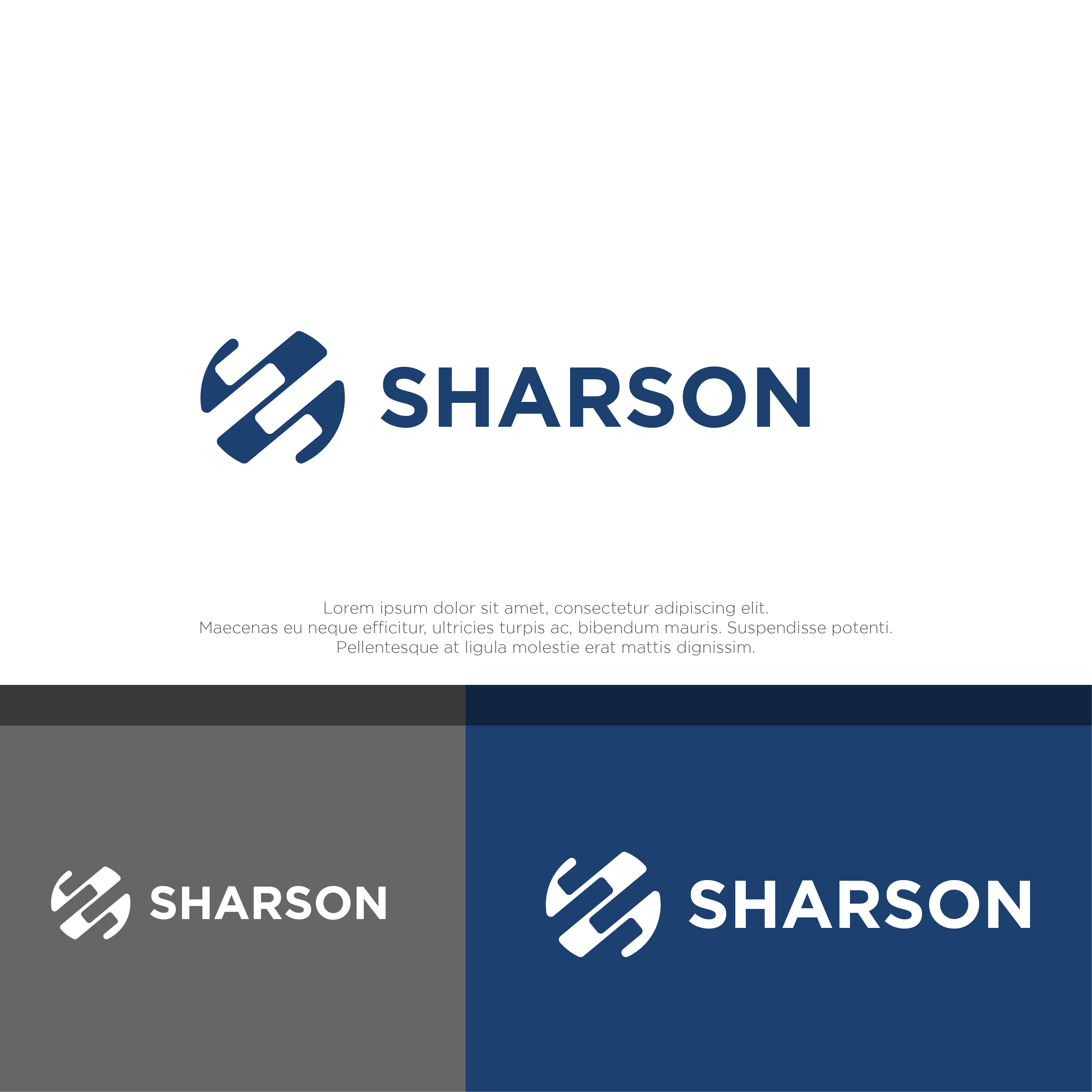 Diseño de Logo por megamen para este proyecto | Diseño #33028285