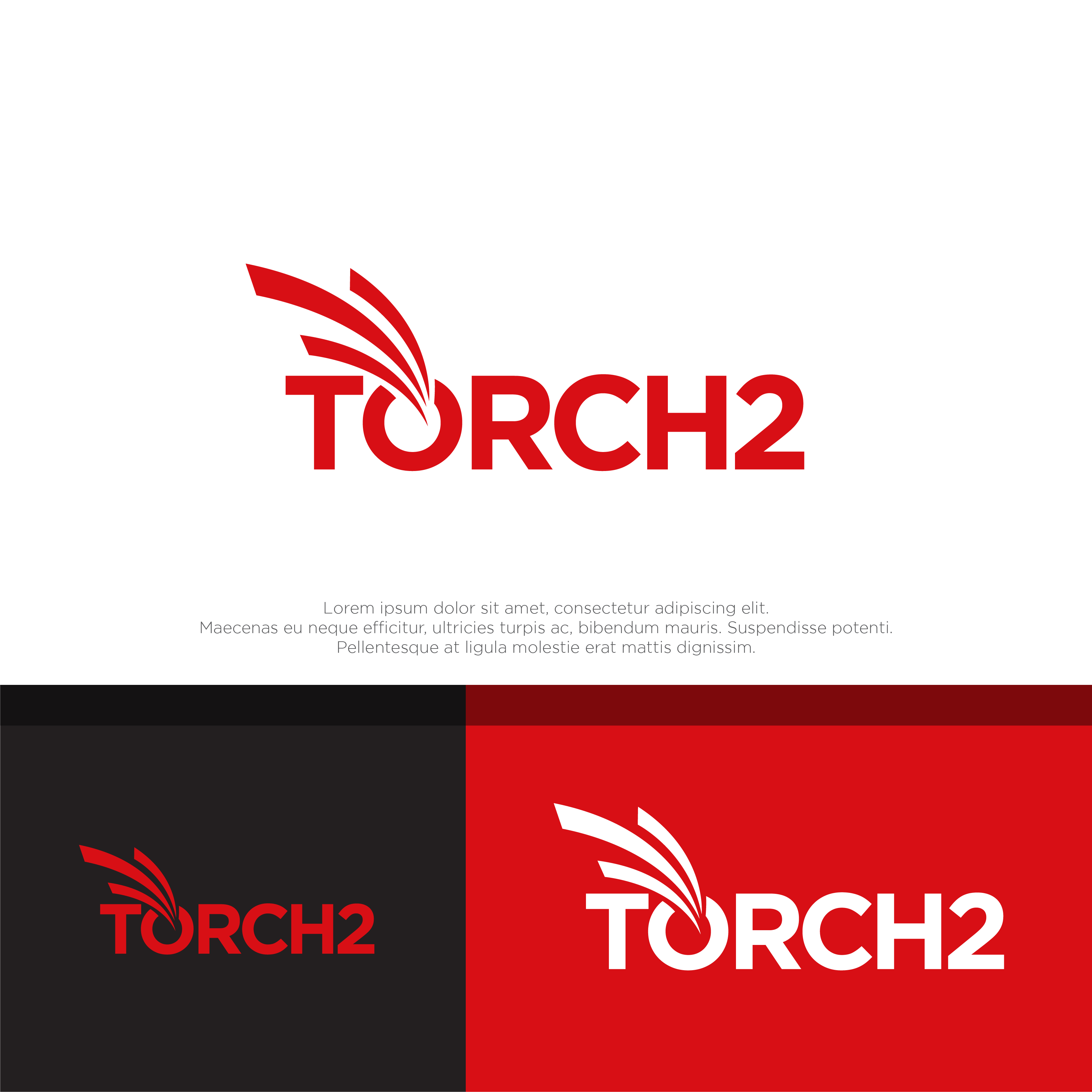 Logo Design by megamen for this project | Design #33033057