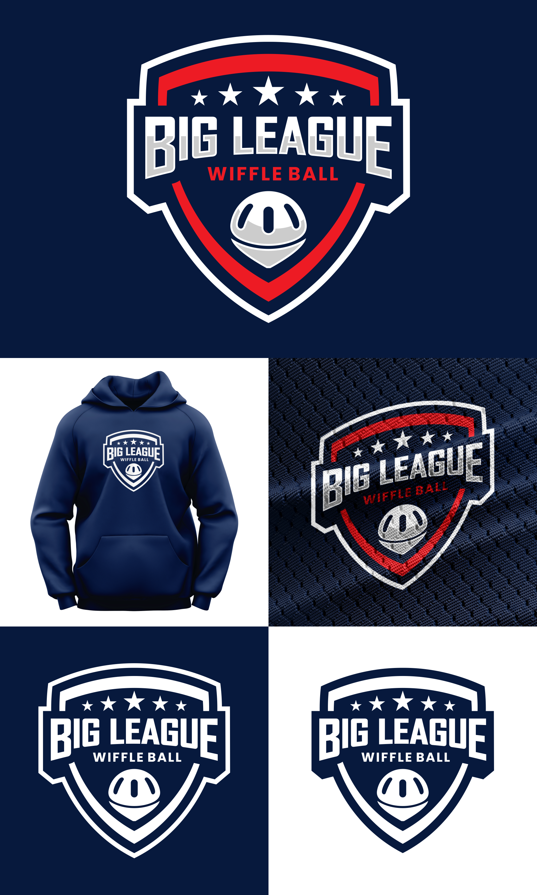 Logo Design by Aezakmi for Premier Venture Partners | Design #33071511