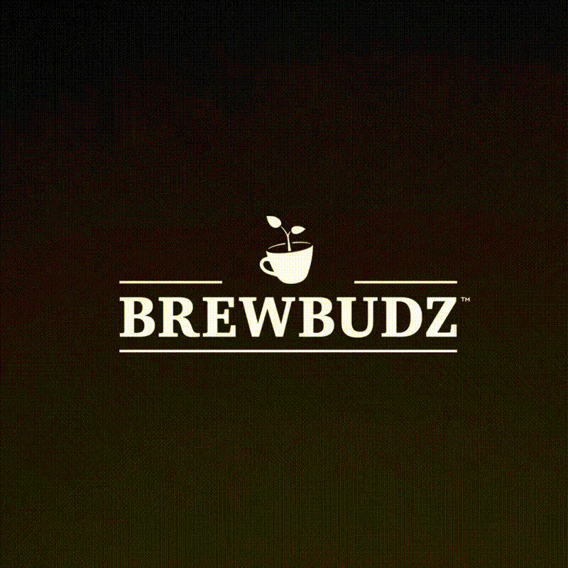 Grafik-Design von Graphic Guy für dieses Projekt | Design #33037951