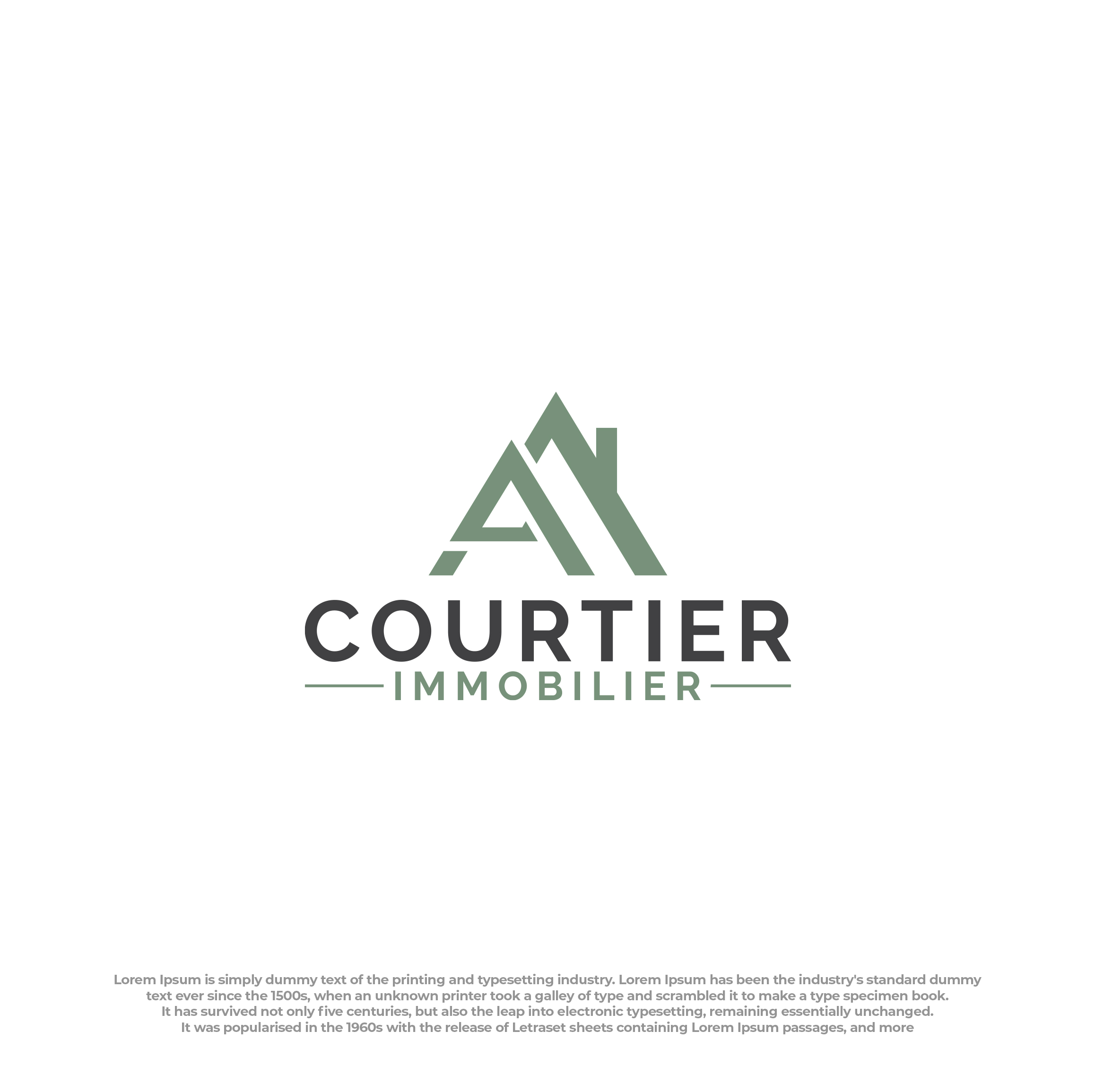 Logo Design by Peak design for this project | Design #33057123